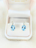 Elegant 18k White Gold Blue Topaz Leverback Earrings